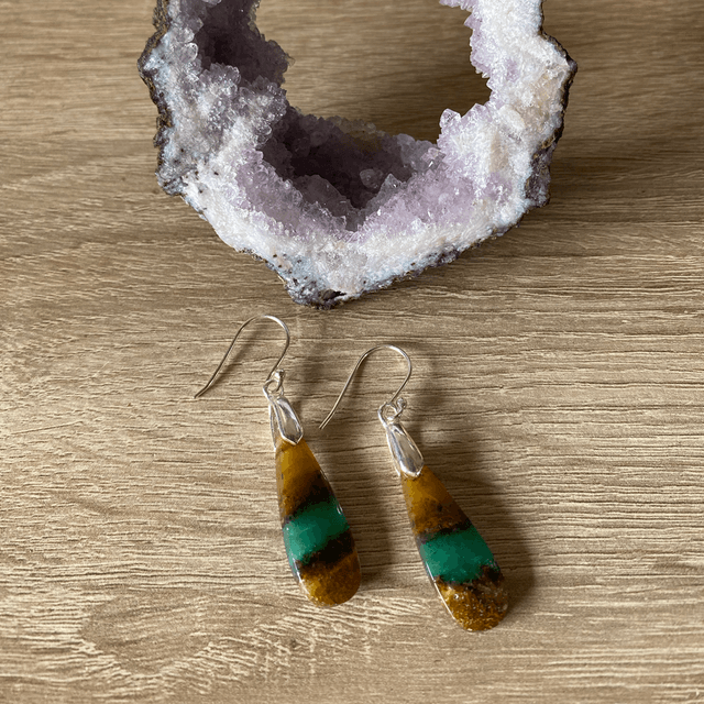Boucles d’oreilles en bois pétrifié opalisé 