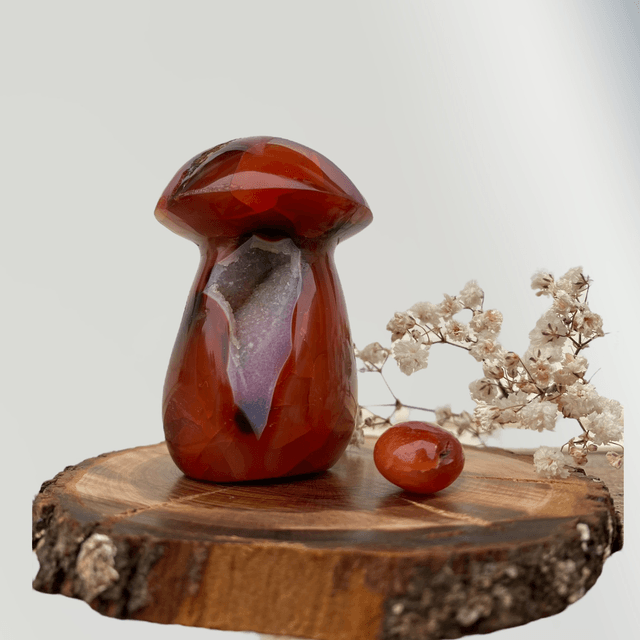 Champignon en Cornaline 